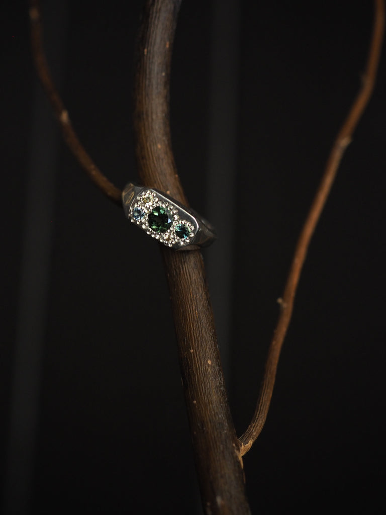 Rainforest ring