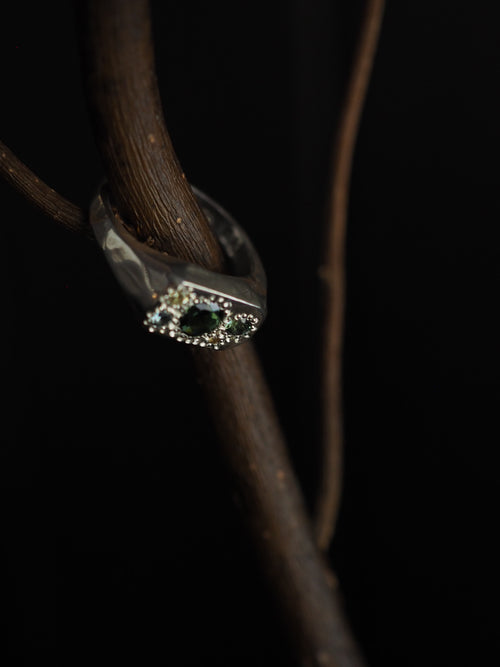 Rainforest ring