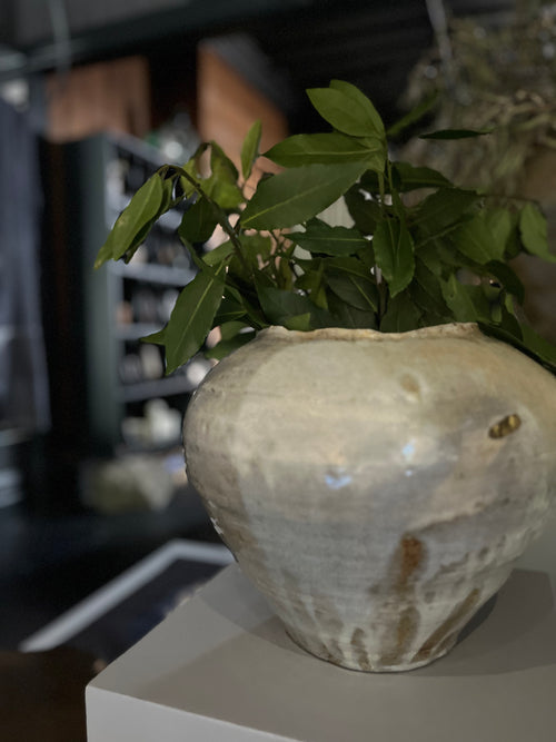 Flattened Vase - Large