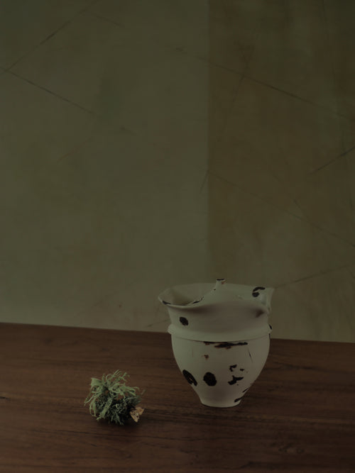 Tea Pot With Dots